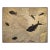 50 Million Year Old Fossil Fish Mural 7742cm For Sale