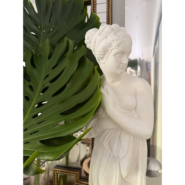 Sculpture Materials Plaster Classic Venus Statue For Sale - Image 7 of 9