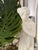 Sculpture Materials Plaster Classic Venus Statue For Sale - Image 7 of 9