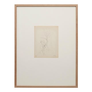 Dora Maar, Pointillist Composition, 20th-century, Ink on Paper For Sale