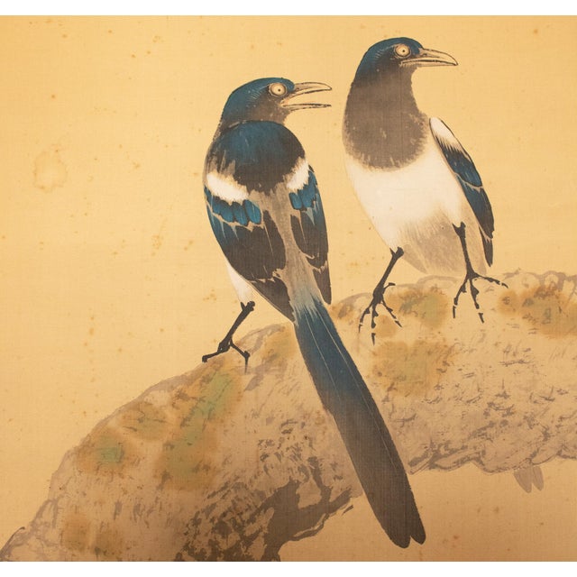 C. 1900-1920s Imai Kōshi "Magpies on a Pine Tree", Japanese Silk Scroll Painting For Sale - Image 4 of 18