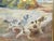 Antique English watercolor of two hunting dogs in a rural landscape, c.1880 Featuring a white and brown pointer in front...