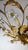 Italian Banci Chandelier in Gilded Metal with Crystal Flower from Banci Firenze, 1950s For Sale - Image 9 of 11