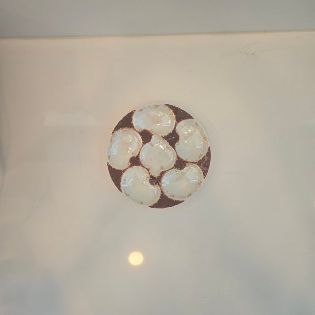Antique Haviland Limoges Oyster Plate For Sale - Image 9 of 18