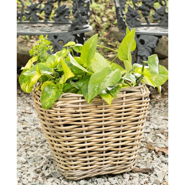 Artifacts Rattan Square Tapered Planter with Black Plastic Insert, Natural, 11.5" For Sale - Image 4 of 10