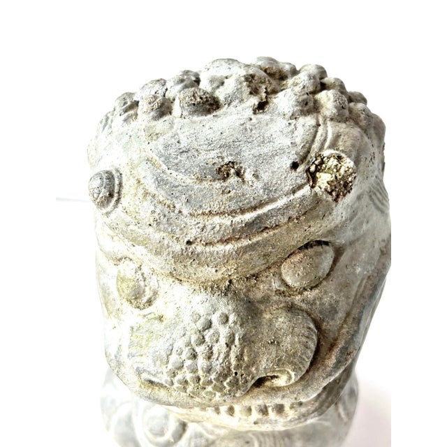 Sculpture Materials Vintage Concrete Foo Dog Garden Statue – Asian Guardian Lion Sculpture For Sale - Image 7 of 7