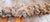 17th or 18th C. Carved Wood Decorative Swag in Baroque Style, Continental European For Sale - Image 11 of 18