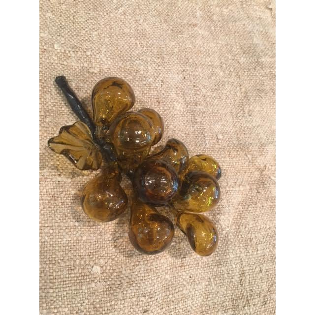 Amber Amber Murano Style Glass Grape Cluster For Sale - Image 8 of 8