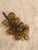 Amber Amber Murano Style Glass Grape Cluster For Sale - Image 8 of 8