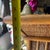 1970s Pair of Bamboo Plant Stand Pillars For Sale - Image 12 of 12