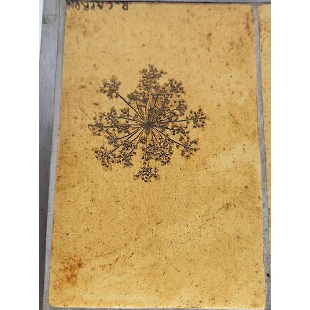 Herbier Coffee Table by Roger Capron, 1970s For Sale - Image 10 of 18