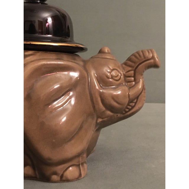 An elegant elephant in excellent condition.