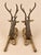 A magnificent pair of reclining deer in solid cast brass, classic animal sculptures from South Asian workshops dating back...