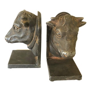 Bull Heads Bookends For Sale