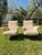 Lady Lounge Chairs attributed to Marco Zanuso for Arflex, 1950s, Set of 2 For Sale - Image 15 of 18