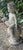 1910s Nude Stone Seated Cherub, 1910s For Sale - Image 5 of 7