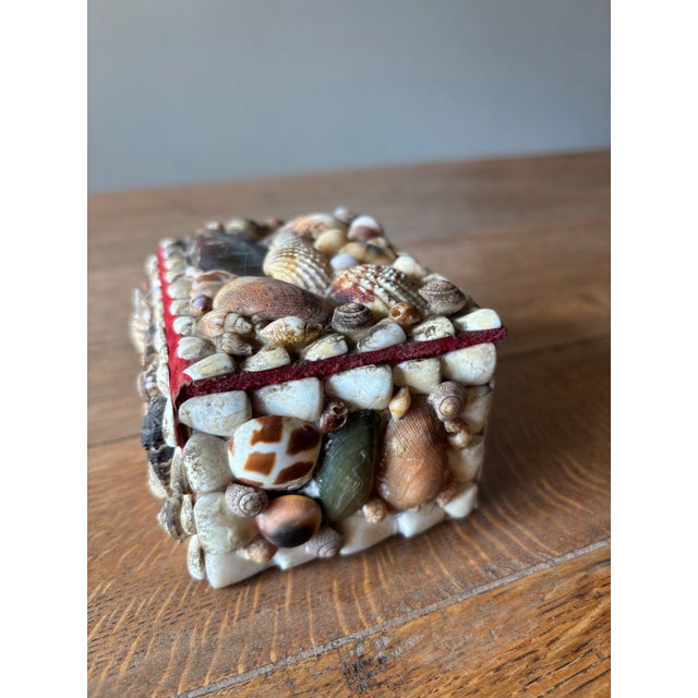Mid 20th Century Vintage English Shell Box For Sale - Image 5 of 8