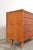 1960s Vintage U-453 Chest of Drawers by Jiri Jiroutek, 1960s For Sale - Image 5 of 12