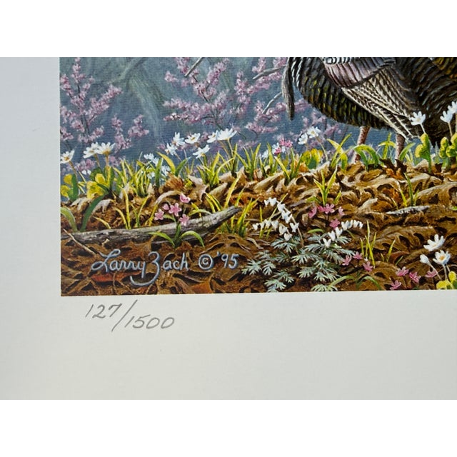 1990s Larry Zach 1995 Arkansas Turkey Stamp, Print and Coa ~ HTF For Sale - Image 5 of 8