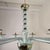 1980s Blue and Brown Murano Glass Chandelier For Sale - Image 9 of 12