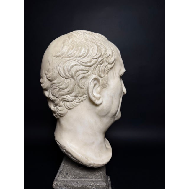 Head of Marcus Tullius Cicero, Late 18th Century, Marble For Sale - Image 14 of 18