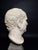 Head of Marcus Tullius Cicero, Late 18th Century, Marble For Sale - Image 14 of 18