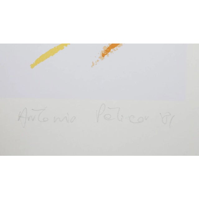 Artist: Antonio Peticov, Brazilian (1946 - ) Title: Passing By II Year: 1981 Medium: Lithograph, signed and numbered in...