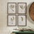Chinese Petite Frond Prints, Set Of 4 For Sale - Image 3 of 4