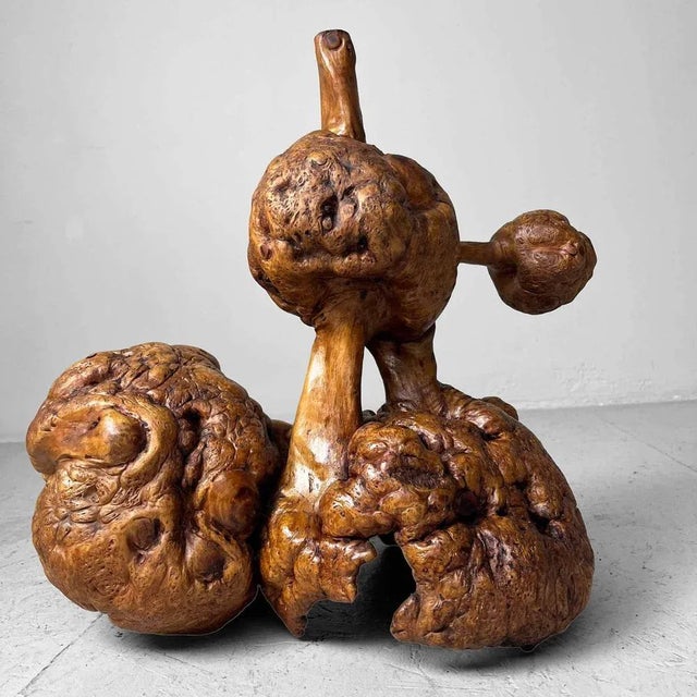 Brown Japanese Meiji Wabi-Sabi Burl Wood Piece For Sale - Image 8 of 13