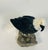 Black 1960s Pair Eagle Semiprecious Stones Birds Sculptures on Pirite Bases For Sale - Image 8 of 10