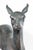 Large, Cast Bronze Doe, circa 1940 For Sale - Image 4 of 9