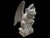 Large 20th Century Granite Gargoyle For Sale - Image 15 of 16