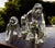 SCS Annual Edition 2009 Gorillas Family from Swarovski, Set of 3 For Sale - Image 9 of 18