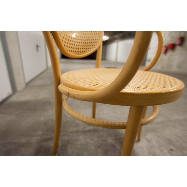 Model 210 R Armchair with Honey-Colored Caning by Michael Thonet for Thonet, 1990s For Sale - Image 15 of 18