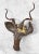 African African Folk Art Industrial Kudu Antelope Wall Hanging Sculpture For Sale - Image 3 of 7