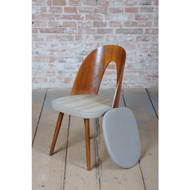 Mid-Century Chairs in Walnut attributed to Antonín Šuman, Czech, 1950s, Set of 4 For Sale - Image 10 of 18