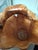Vintage Handcarved Large Burl Wood Basket For Sale - Image 4 of 12