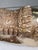 Charming Recumbent deer most likely from India. Substantial size. Recently polished. India is well known for their high...