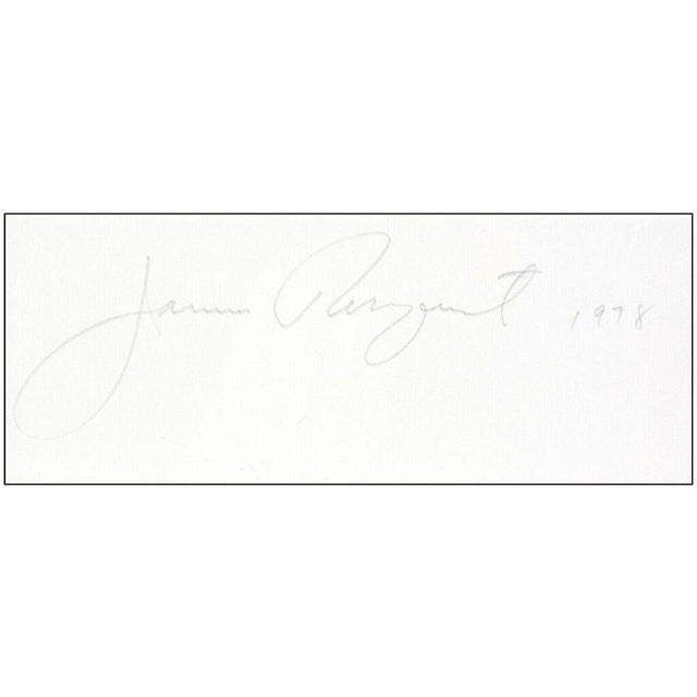 1970s 1970s Black Triangle in Color, James Rosenquist For Sale - Image 5 of 6