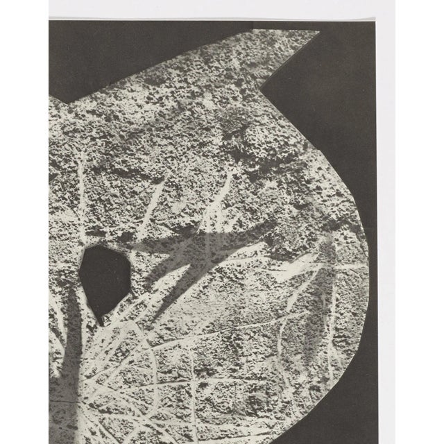 Pablo Picasso Pablo Picasso, Diurnes "Tohu", 1962, offset lithograph For Sale - Image 4 of 8