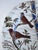 Late 19th Century Antique Staffordshire ABC's Plate For Sale - Image 5 of 8
