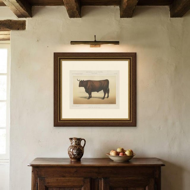 Paper Borie, Salers Ox, French Cattle Breed, 1863, Chromolithograph For Sale - Image 7 of 9