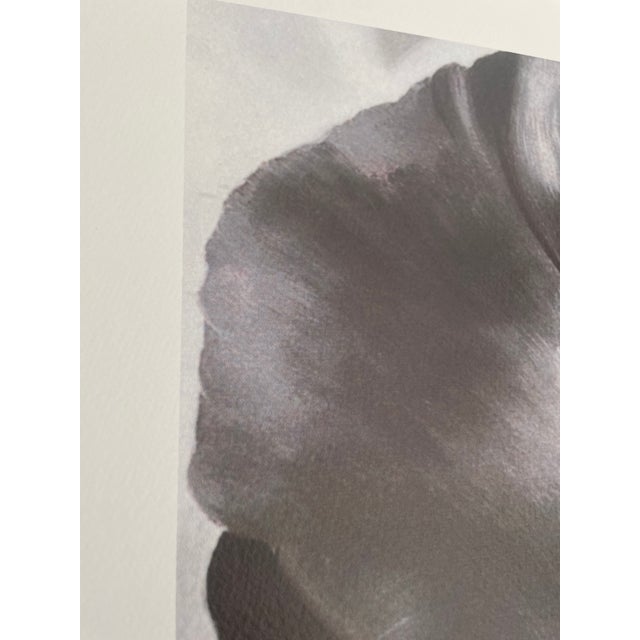 Green Georgia O’Keeffe (1887-1986), Dark Iris I, 1927, Copyright 1999- G.O’Keeffe/SOFAM Belgique Editions Pierre D’ Harville, Printed in Italy For Sale - Image 8 of 9