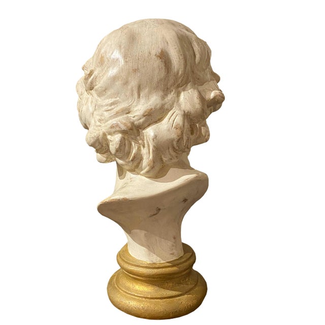 Alexander the Great Bust For Sale - Image 4 of 5