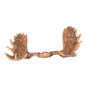 Restoration Hardware Large Faux Moose Antlers