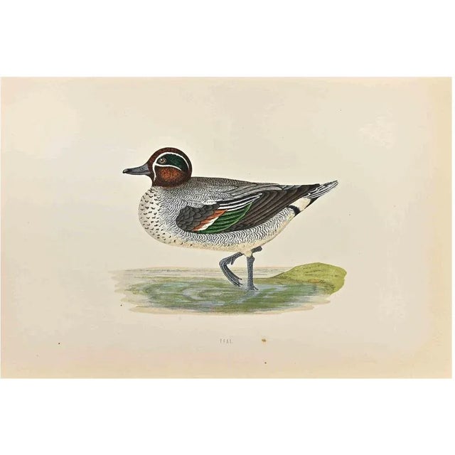Teal is a modern artwork realized in 1870 by the British artist Alexander Francis Lydon (1836-1917). Woodcut print on...