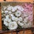The painting portrays a lush arrangement of white roses interspersed with delicate pink foliage, evoking a sense of...