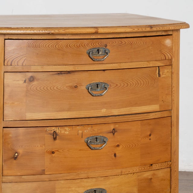 Brown 19th Century Danish Pine Bow Front Chest of Four Drawers For Sale - Image 8 of 11