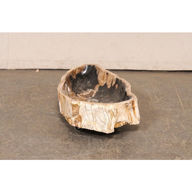 Live-Edge Petrified Wood Sink, Oblong Shape For Sale - Image 4 of 10