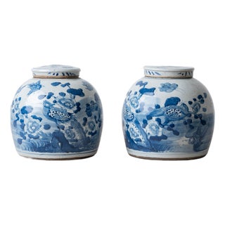 Pair of Chinese Blue and White Porcelain Bird and Peony Jars, 20th Century For Sale